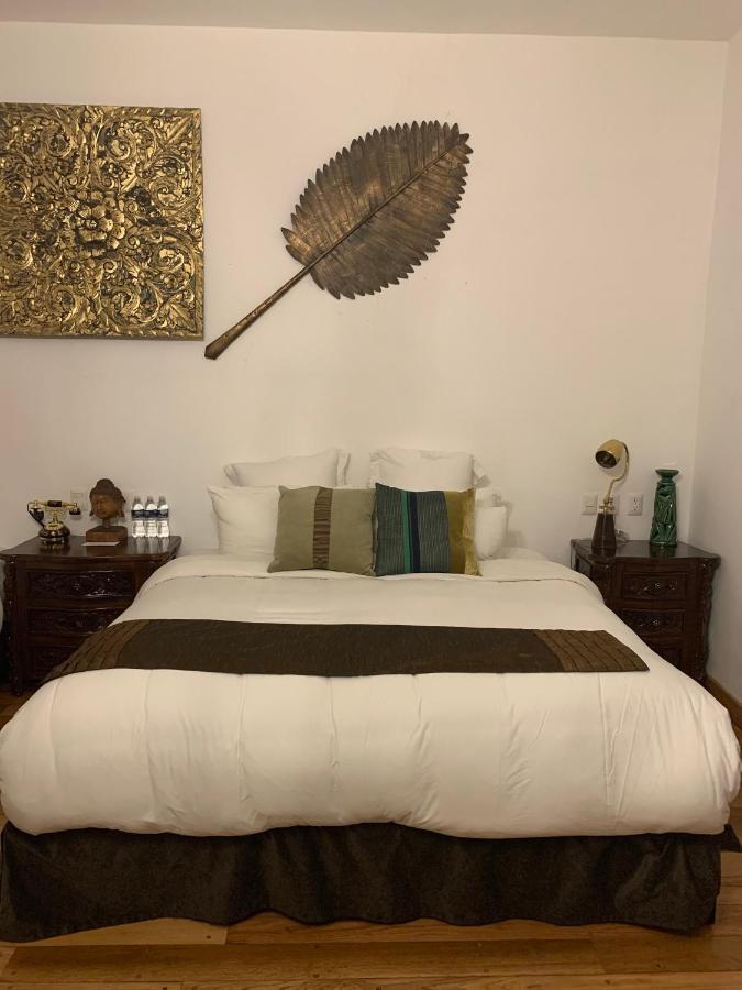 ホテル Galanga Thai House メキシコシティ エクステリア 写真